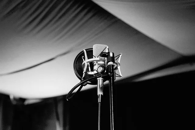 microphone, music, record, condenser, pop, filter, black and white, grayscale, gray music, gray microphone. What the FTC endorsement guides require you to say during a paid stream